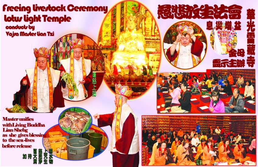 Sept 17, 2016 Freeing Livestock Ceremony at Lotus Light Temple